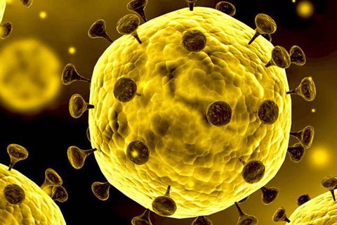 НФСБ настоява за крайни мерки срещу навлизането на коронавирус в България