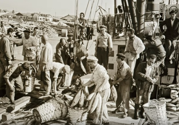 За риболова в Черно море в миналото използвали и самолети