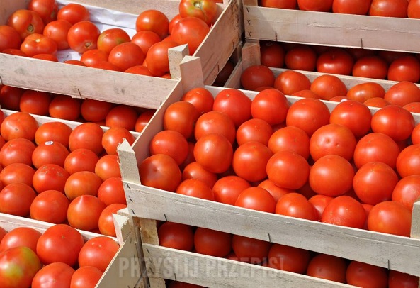 Унищожават 5 тона домати от Турция, бъкани с пестициди