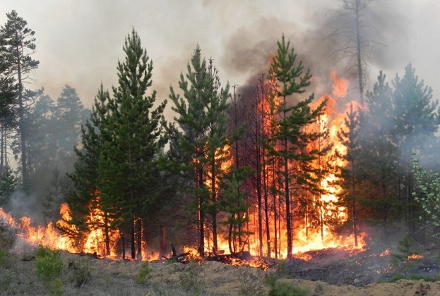 Обявен е пожароопасен сезон за всички области в страната