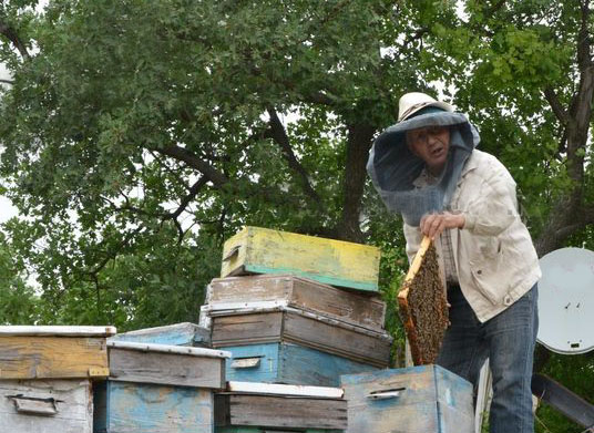 Пчелар от Хасково извади пита с мед за рекорд на Гинес