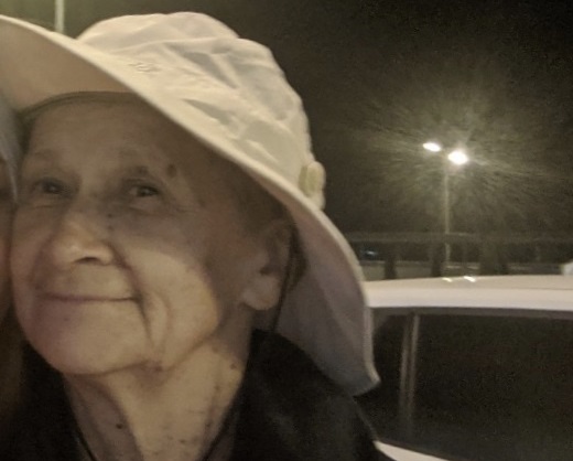Издирват 75-годишна жена, видяна последно край хижа „Момина скала“ на Витоша