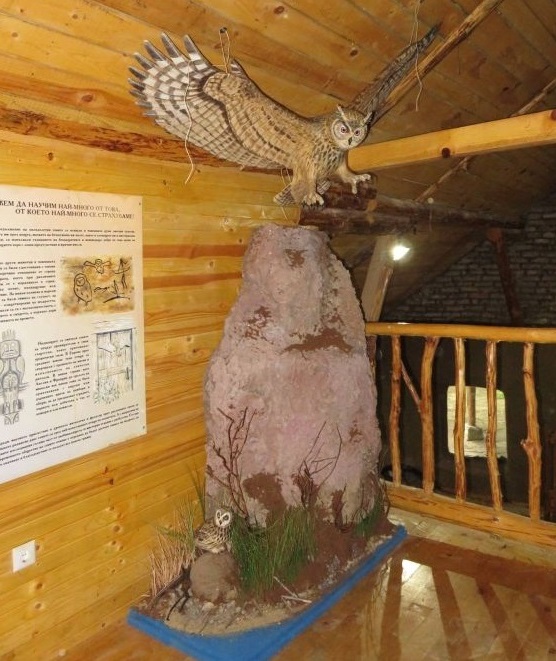 Обновеният музей на совите отвори врати