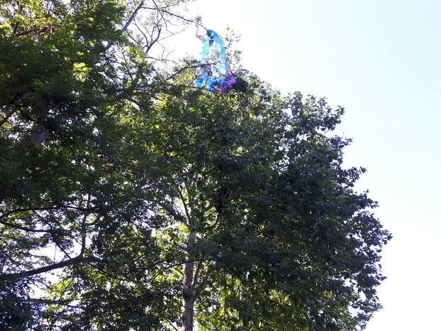 Парапланеристка „кацна" на едно дърво в Морската градина на Бургас