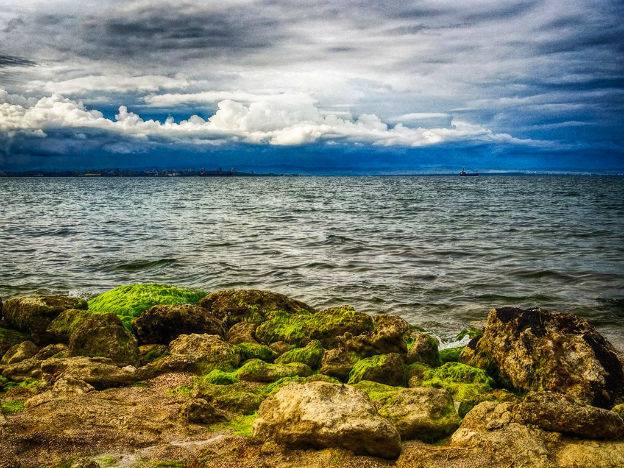 Защо Черно море изглежда по-мръсно от Егейско