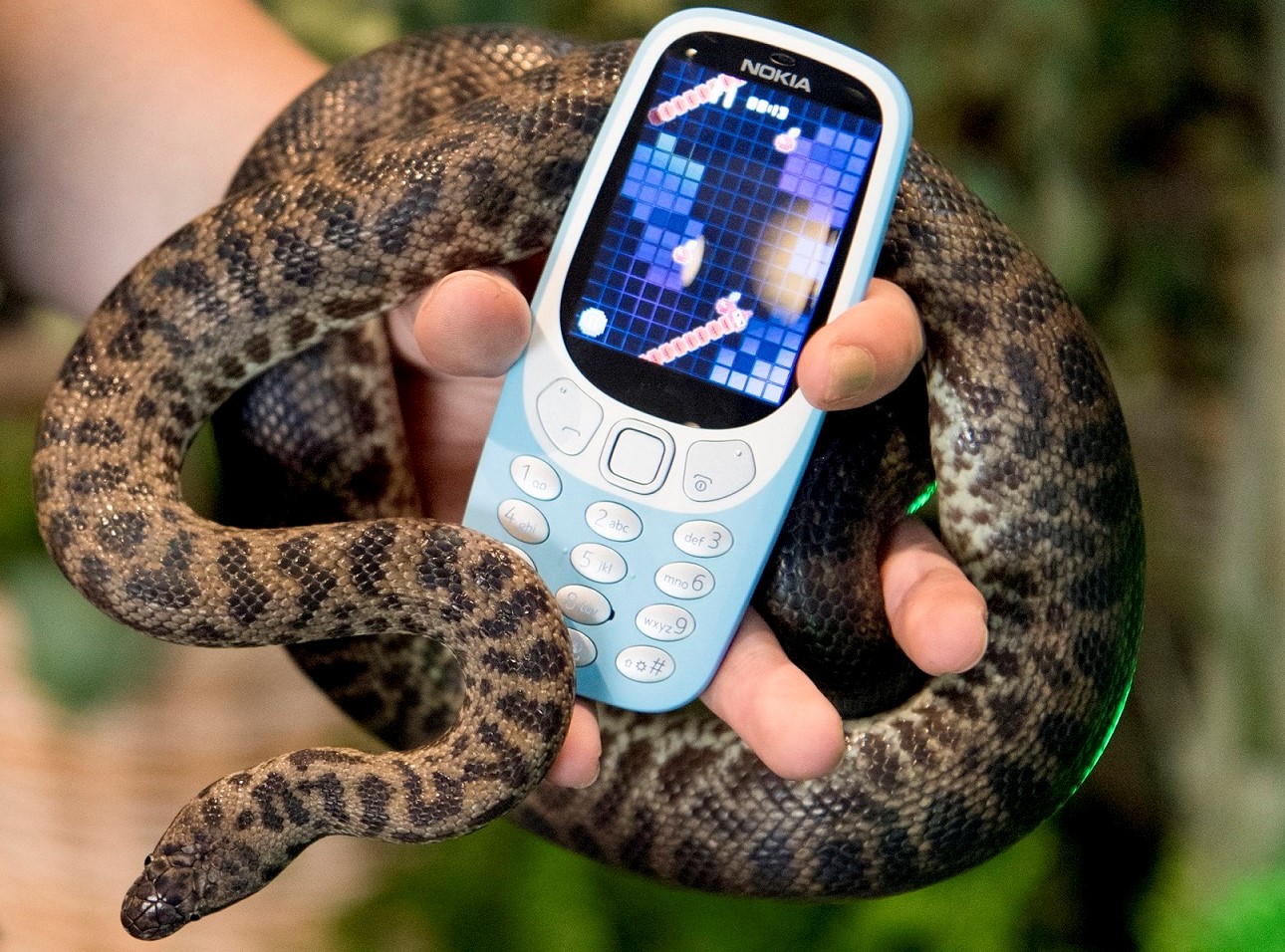 „Нокия" приканва: В Световния ден на змията поиграйте на Snake