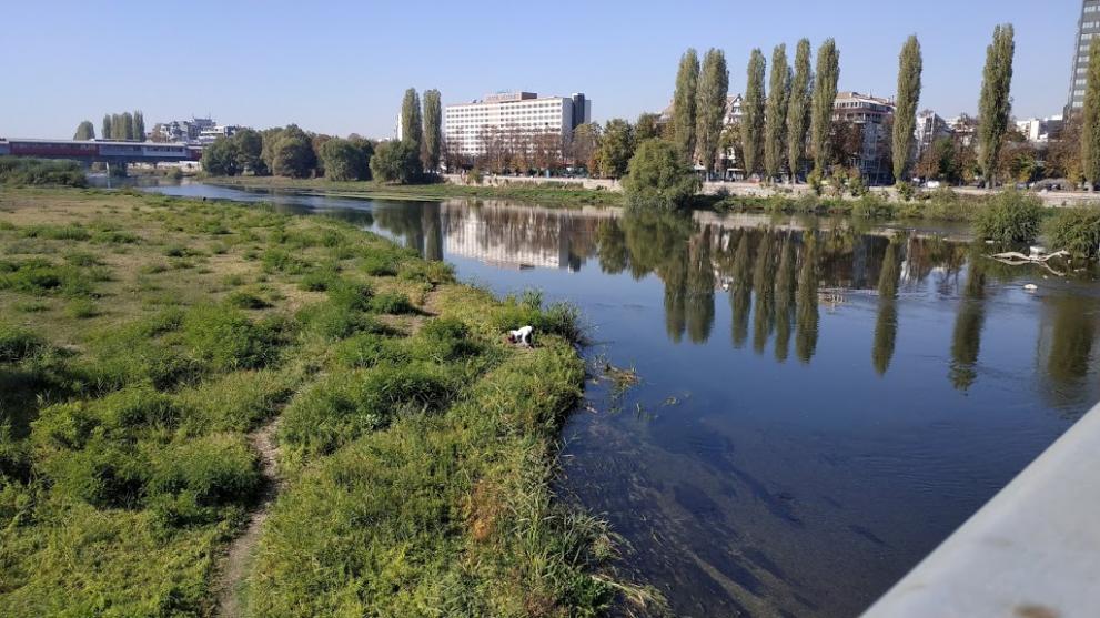 ВАП възложи проверка за замърсяване на водите на река Марица