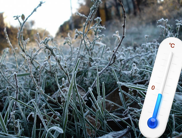 След температури от близо 40 градуса, в Якутия „пристигнаха" първите замръзи