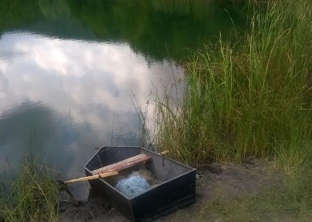 Неизвестен бракониер метна 90 метра хрилни мрежи във водоем край руенското село Струя