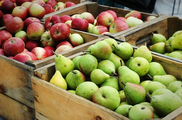 Фонд „Земеделие" подпомага с 270 хил. лв. реализацията на реколтата от ябълки и круши