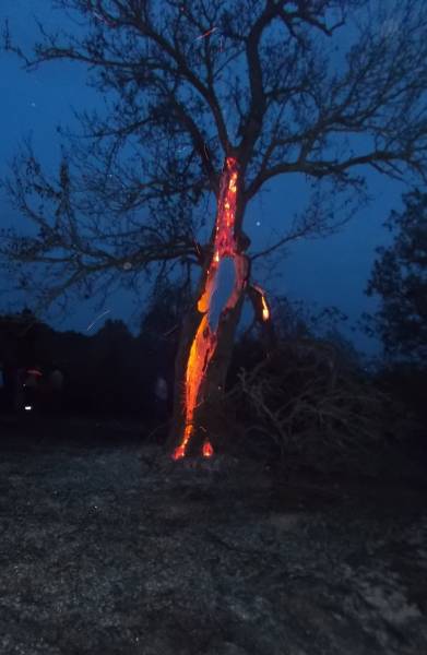 Пожар изпепели седем декара гори край Малко Търново