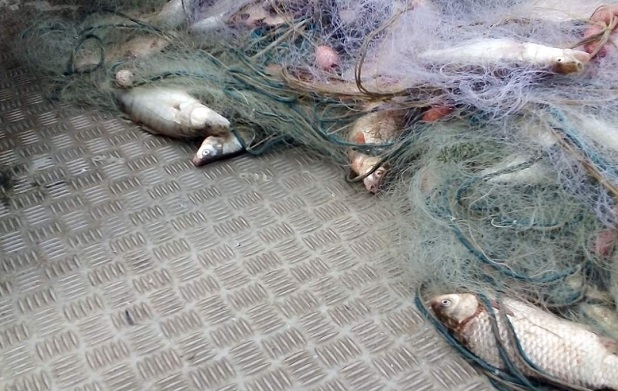 Над километър бракониерски мрежи и 50 кила риба извадиха от язовир Мандра
