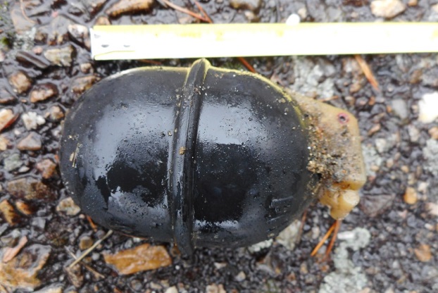 Намериха стара ръчна граната край стената на язовир Копринка