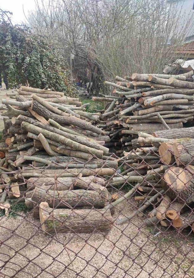 Съставиха 14 акта за незаконна дървесина, открита при рутинна проверка в частни дворове  в село Русокастро