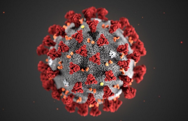 Вирусът ще спре да мутира, когато среща по-невъзприемчиво население