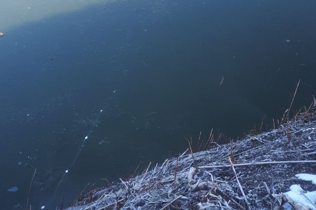 В Свищов откриха бракониерска мрежа в отводнителен канал