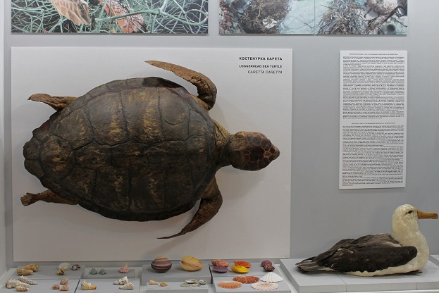 Екзотични морски животни обогатиха експозицията на бургаския природонаучен музей