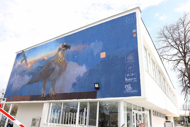 Брадат лешояд „кацна" на фасада в Пловдив