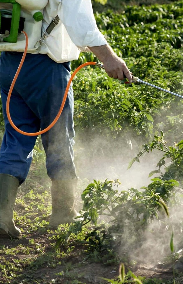 Дългогодишното излагане на пестициди може да е една от причините за болестта на Паркинсон сред фермерите