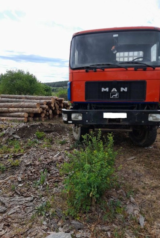Горски служители от Велико Търново задържаха товарен автомобил, превозващ незаконна иглолистна дървесина
