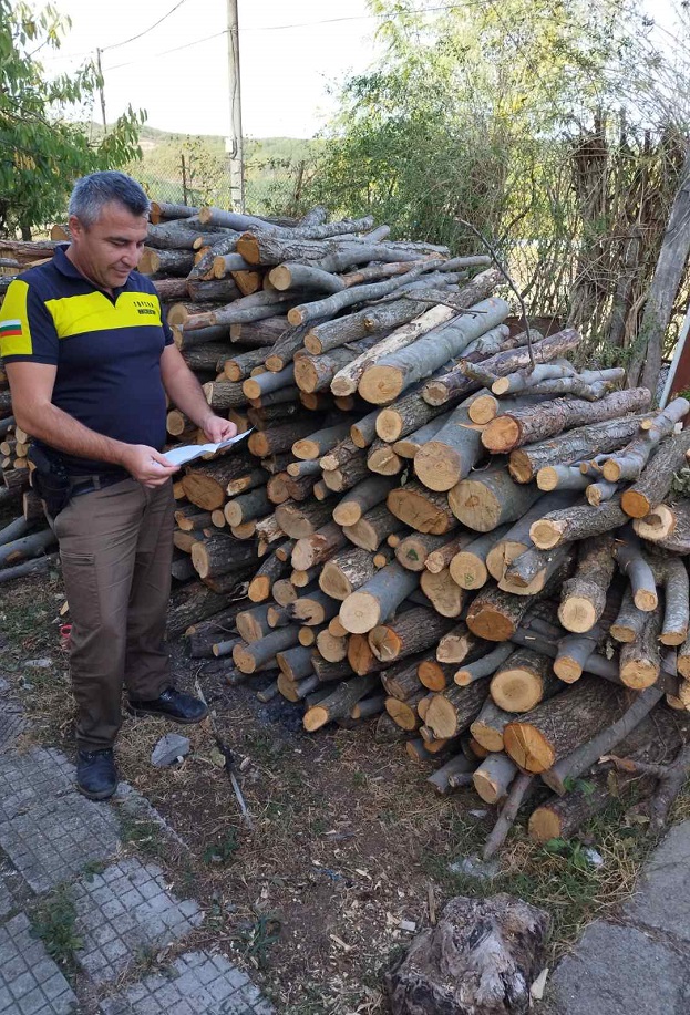 В Кърджалийско установиха съхранение на дърва за огрев без превозен билет и немаркирана с контролна марка