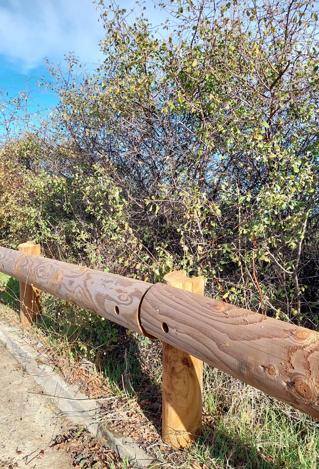 Иновация по странджанското крайбрежие: Покрай шосето слагат мантинели от... дървени трупи