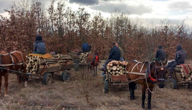 Задържаха роми с шест каруци незаконна дървесина