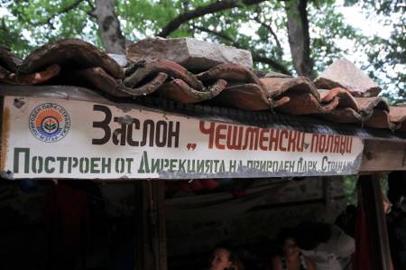 Голямата въпа не поиска да разкрие тайните си
