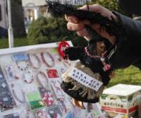А срещу кризата ще се борим с баба Яга