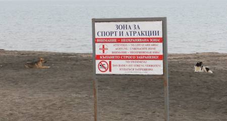 Внимание - домашни любимци! В Община Бургас забранителните табели за кучета всъщност разрешават тяхната разходка
