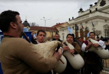Фалшивите митинги на герберите