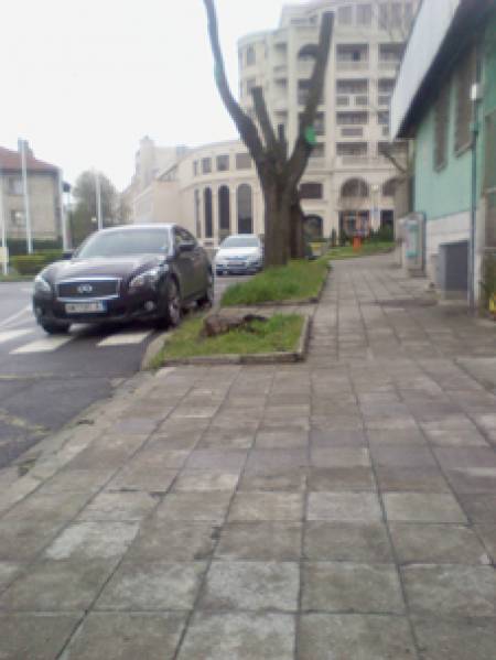 Гарван гарвану око не вади