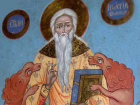 Янини зачейки