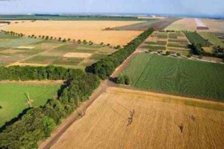 Обработваемата земя в България се увеличава