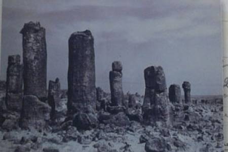 Голямата тайна на „Побитите камъни“ край Белослав