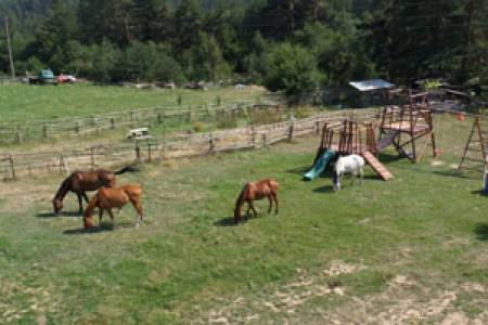 На кон и с лък в разложкото село Бачево
