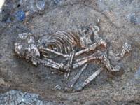 Неолитният човек, намерен през 2009 г.