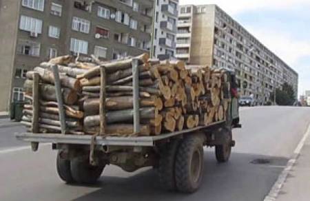 Продължава изсичането на българската гора