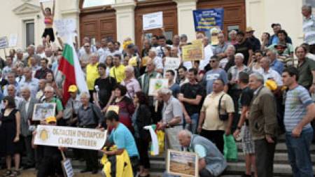 Държавата разреши два препарата, убиващи пчелите