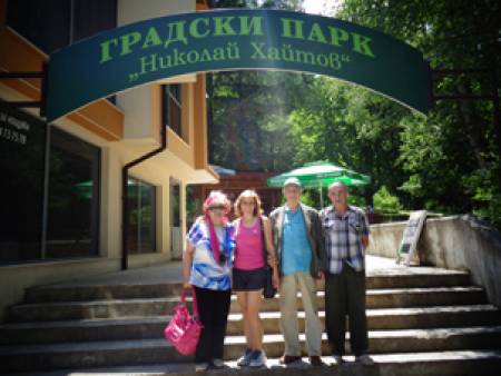 В света на дивната гора