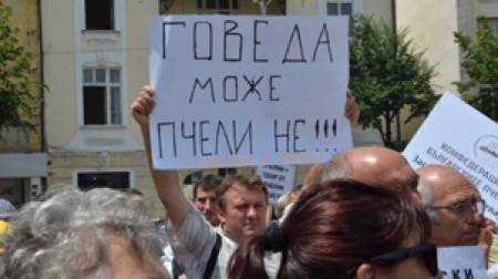 Уморихме кравите, наред са пчелите