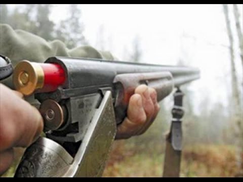 Патриотите предлагат по-строги санкции за престъпления, свързани с лова
