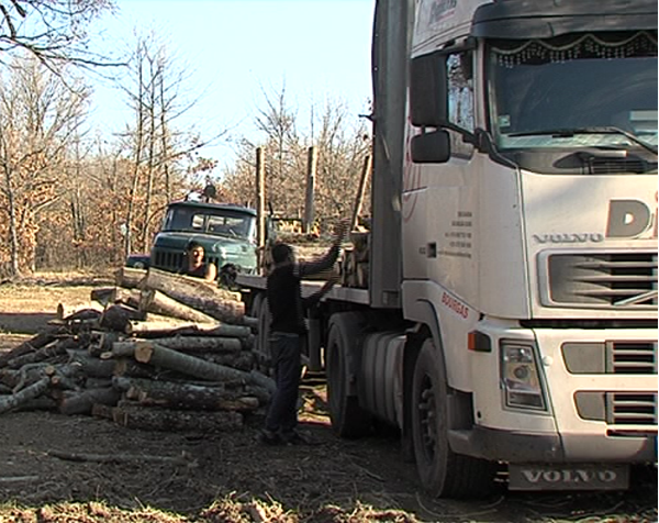 След масираните проверки в горите в Бургаска област: Само 2 нарушения, едното за изхвърлен боклук...