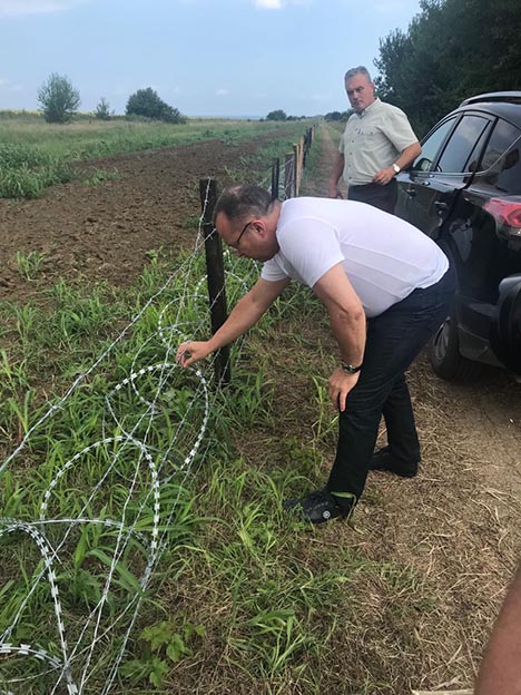 Добрата новина: Няма огнище на африканска чума по свинете у нас