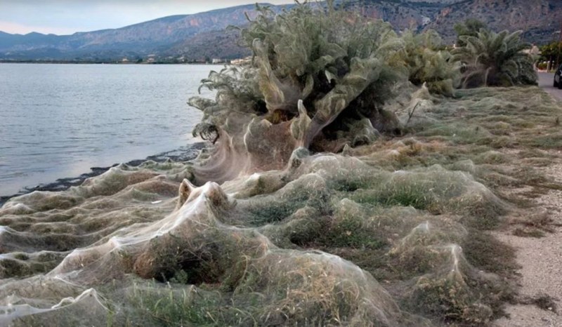 Уникално явление: 300-метрова паяжина покри гръцки остров