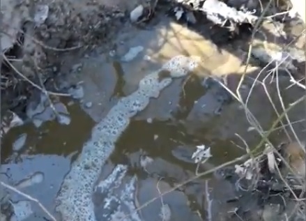 Кравеферма замърсява река Върбица