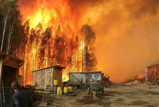 Пожарите в Сибир се разрастват, засегнати са над 2,8 милиона хектара гори