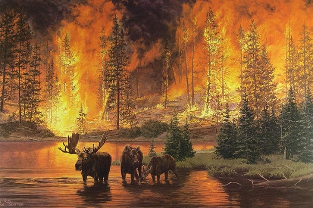 Най-популярната снимка от ада в Сибир всъщност изобразява пожар в Йелоустоун