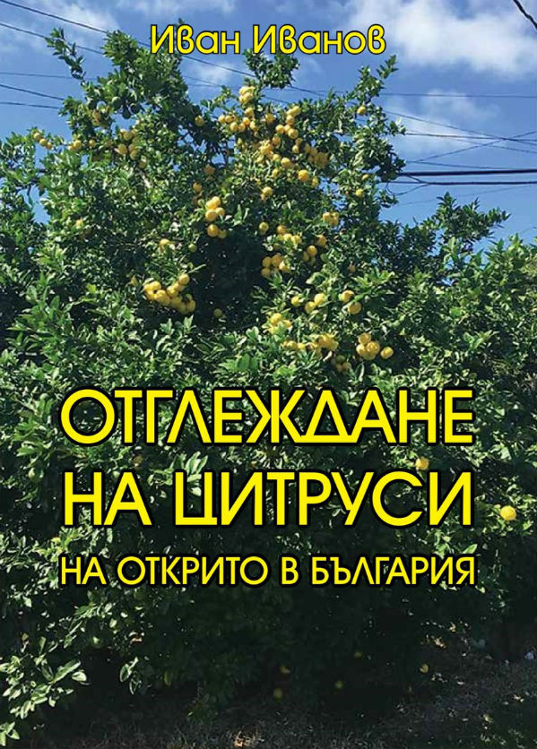 Книга разкрива как да отгледаме в България цитруси на открито