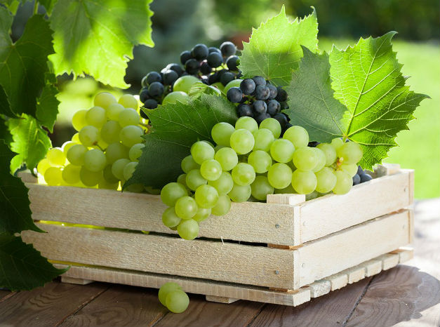 Лозари и винари: Производството на грозде трябва да се субсидира